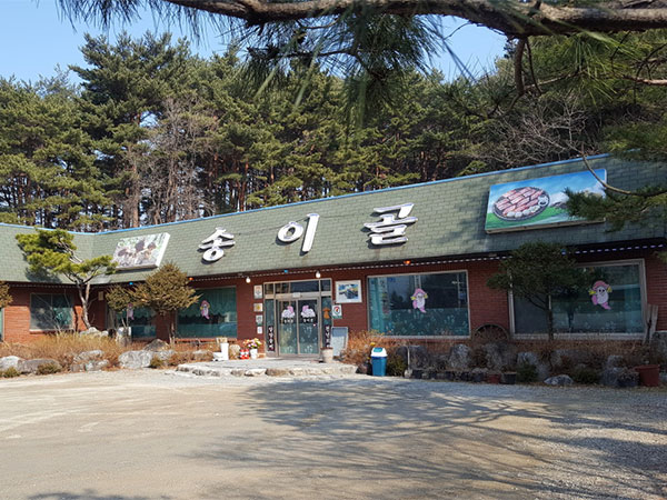 송이골