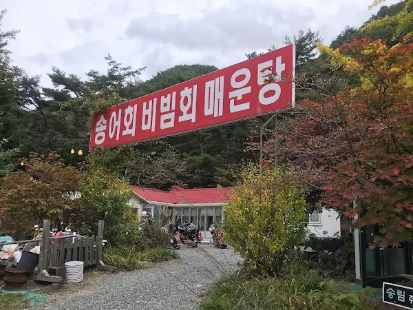 송림