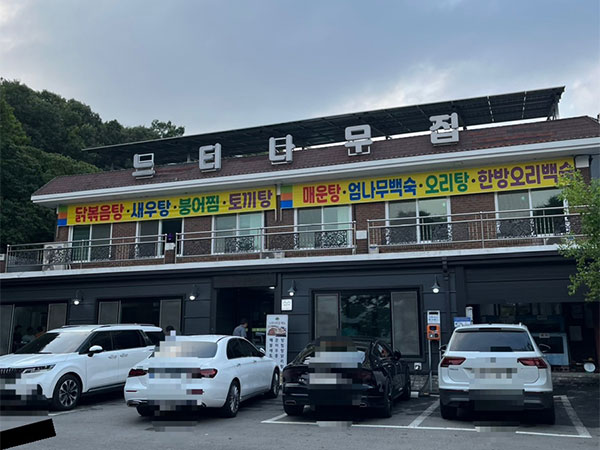 느티나무집