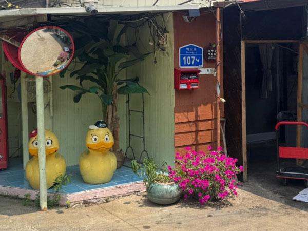 월척오리