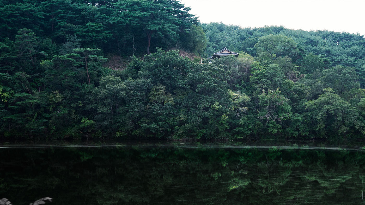 안동 백운정 및 개호송 숲 일원 (安東 白雲亭 및 開湖松 숲 一圓): 명승 제26호