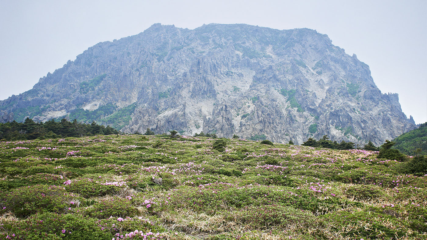 한라산(漢拏山) 선작지왓: 명승 제91호
