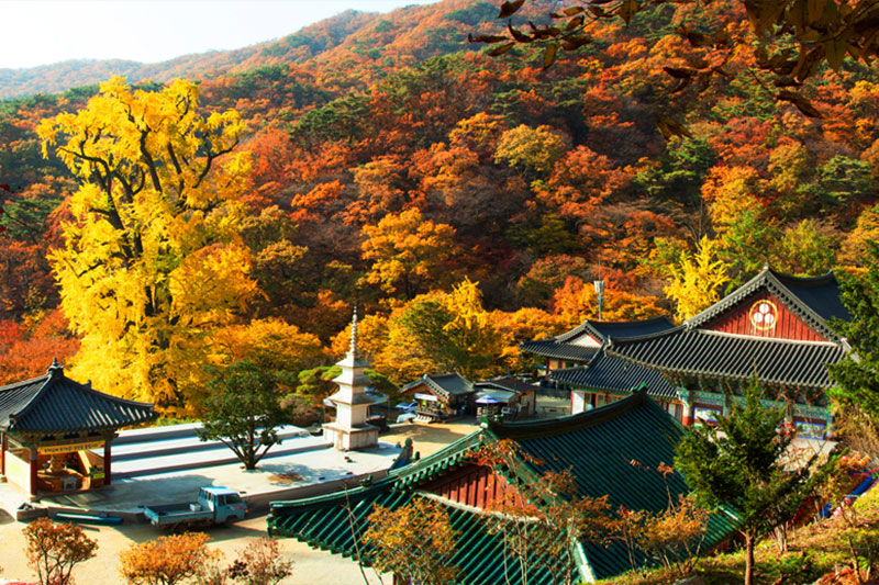 용문산