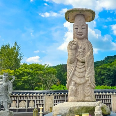 봉선사: 세조의 영혼을 위로하는 광릉 숲의 향기, 봉선사 연꽃 약선