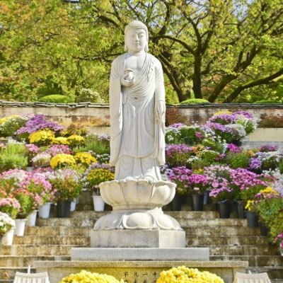 봉인사: 왕실 태실을 수호하던 생명의 기운, 천마산의 정기가 서린 치유 명상 도량